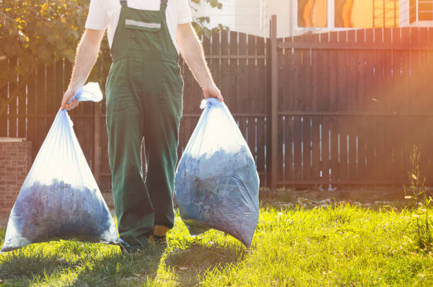 Best Basement Cleanout  in Altavista, VA